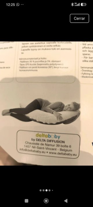 Cojín de lactancia Delta Baby