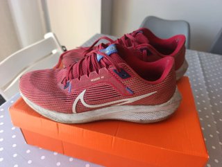 Zapatillas Nike Pegasus 40 Talla 43