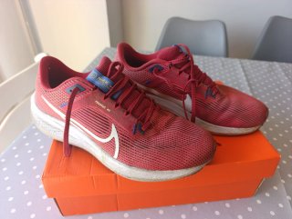 Zapatillas Nike Pegasus 40 Talla 43
