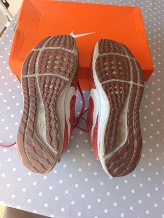 Zapatillas Nike Pegasus 40 Talla 43