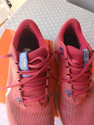 Zapatillas Nike Pegasus 40 Talla 43