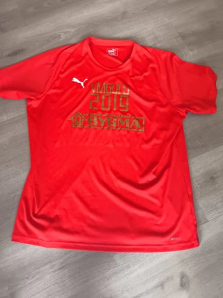 Camiseta Puma Hombre Deportiva Roja