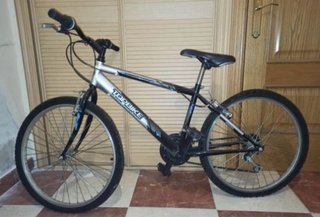 Bicicleta TOPBIKE