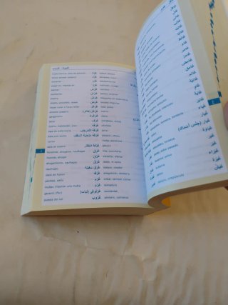 Diccionario : árabe- español y español- árabe.