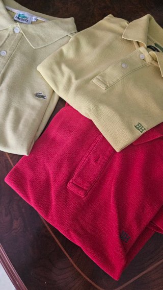 Lote polos Lacoste y Pedro del Hierro
