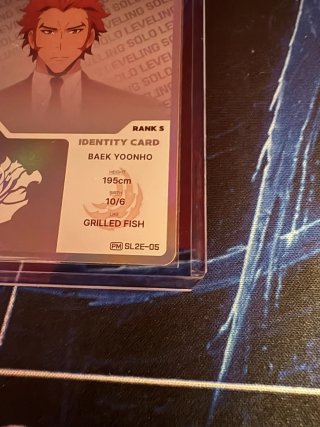 SL2E-PM 05 - Baek Yoonho Solo Leveling Mapniverse