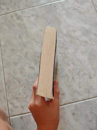 Lo que encontré bajo el sofá / What I Found und...
