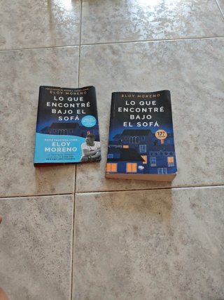 Lo que encontré bajo el sofá / What I Found und...
