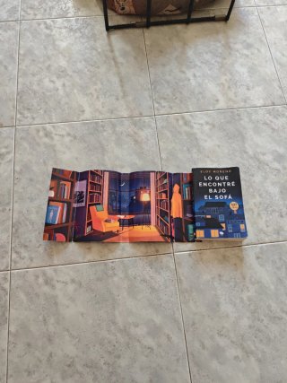 Lo que encontré bajo el sofá / What I Found und...