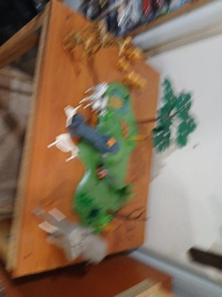 Playmobil Safari 5922 Todo 25€