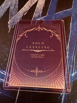 SL2E-PM 07 - Woo Jinchul Solo Leveling Mapniverse