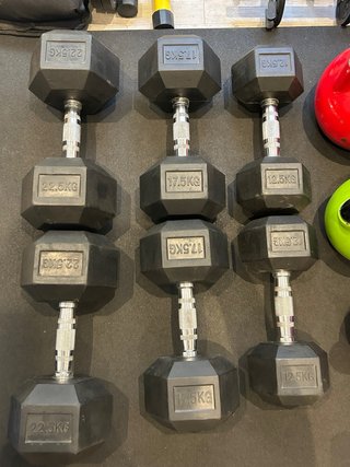 Mancuernas 22.5 kg (2 unidades)