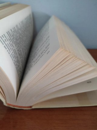 Libro Ana Karerina