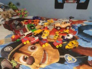 Lote de coches