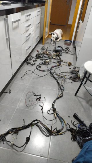 Restauración de BMW