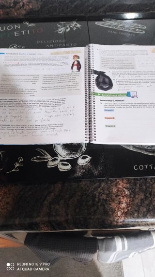 Cuaderno de lengua castellana de 2 de eso