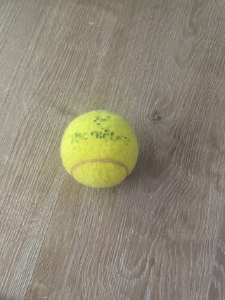 Pelota de Tenis
