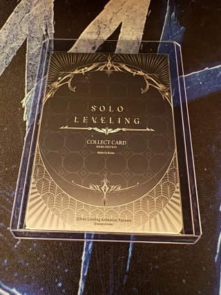 SL3E-075-P - Solo Leveling Mapniverse