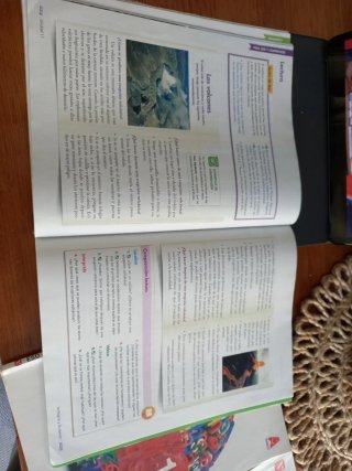 LCL, lengua castellana y literatura 1.1