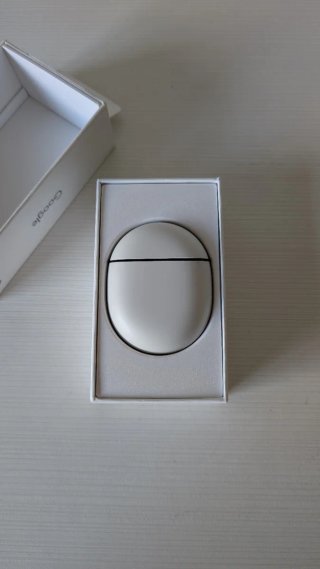Google Pixel Buds Pro Negros