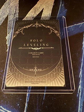 SL3E-077-P - Solo Leveling Mapniverse