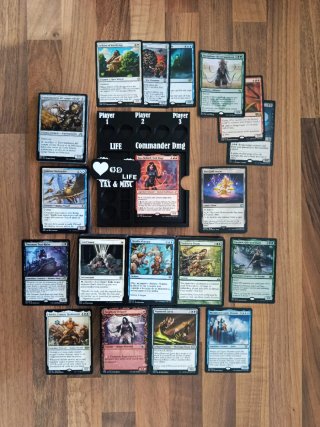 Lote Cartas Magic Commander