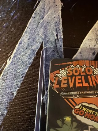 SL3E-078-P - Sung Il-Hwan Solo Leveling Mapniverse