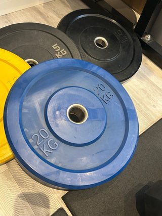 Discos Bumper 20 kg (2 unidades)