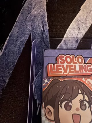 SL3E-079 - Sung Jinah Solo Leveling Mapniverse