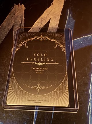 SL3E-079 - Sung Jinah Solo Leveling Mapniverse