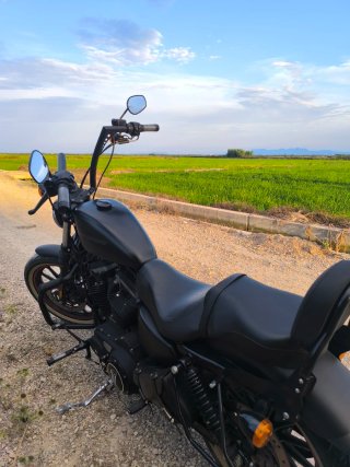 Harley Davidson Iron XL Negra