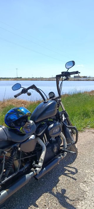 Harley Davidson Iron XL Negra