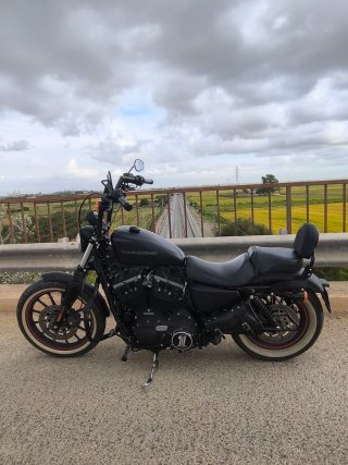 Harley Davidson Iron XL Negra