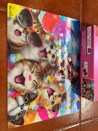 Puzzle 3D Gatos Divertidos