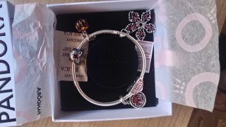 Pulsera Pandora con 4 Charms Stranger Things