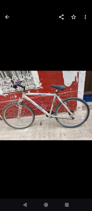 Bicicleta de montaña Top Line