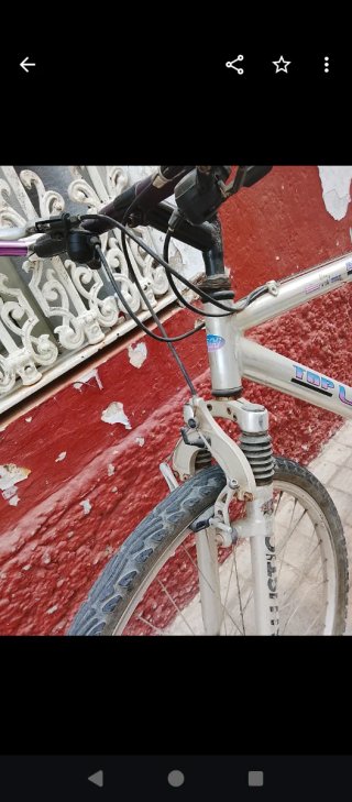 Bicicleta de montaña Top Line