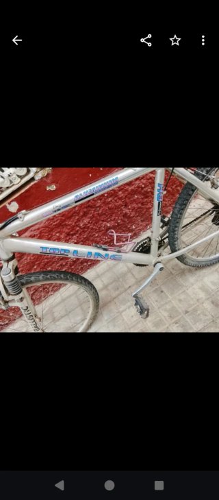 Bicicleta de montaña Top Line