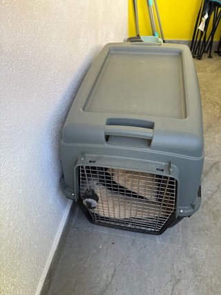 Transportín perro mediano (precio negociable)