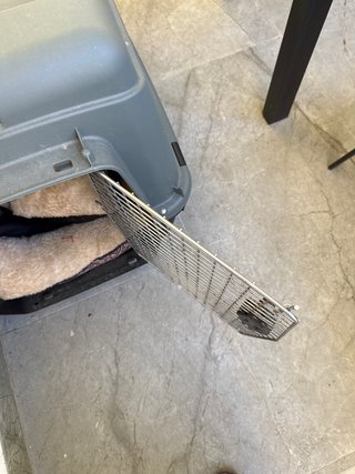 Transportín perro mediano (precio negociable)