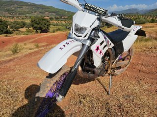 Gas Gas 250 EC Enduro 2001 (Sin ITV)