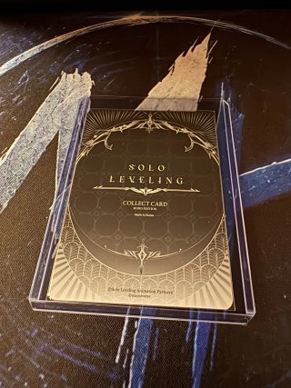 SL3E-084 - Beru Solo Leveling Mapniverse