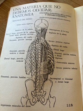 Vocabulario de danza