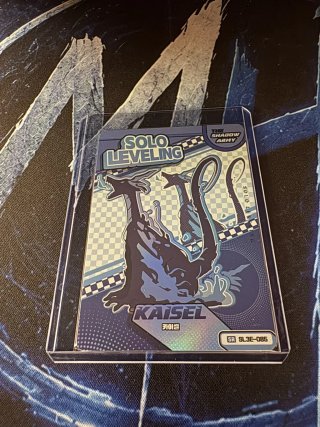 SL3E-085 - Kaisel Solo Leveling Mapniverse