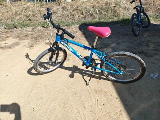 Bicicleta infantil 20 pulgadas