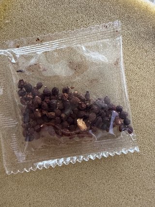 Semillas de orquídea