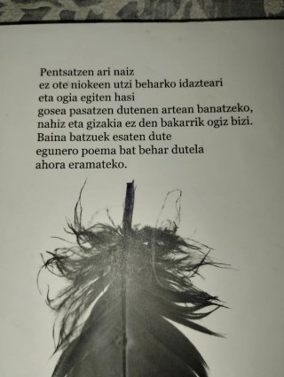 112 Poema Biziari Hegalak Jartzeko - La Vida