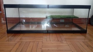 Acuario con plataforma