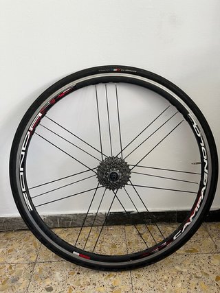 Ruedas Campagnolo Zonda C17 - Nucleo Shimano 11v