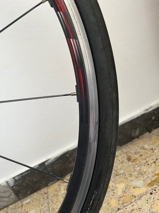 Ruedas Campagnolo Zonda C17 - Nucleo Shimano 11v